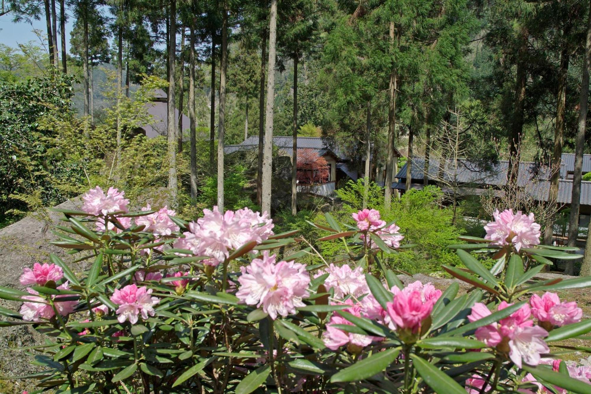 Auberge Funoki Nakatsu Exterior foto
